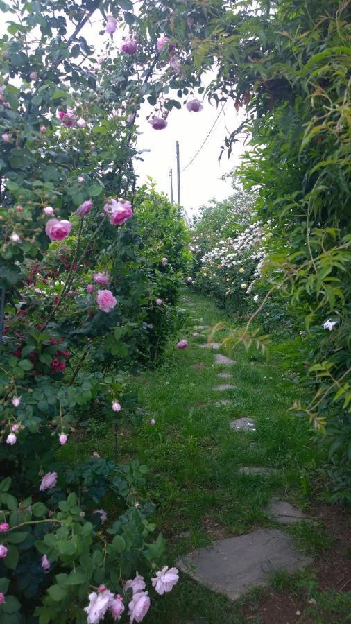 Gattico B&B Villa Giardini Susanna المظهر الخارجي الصورة