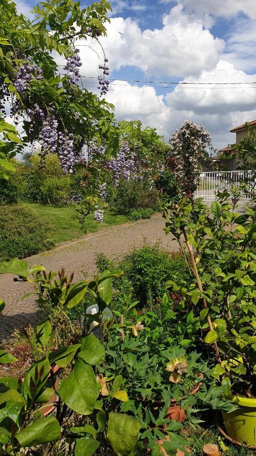 Gattico B&B Villa Giardini Susanna المظهر الخارجي الصورة