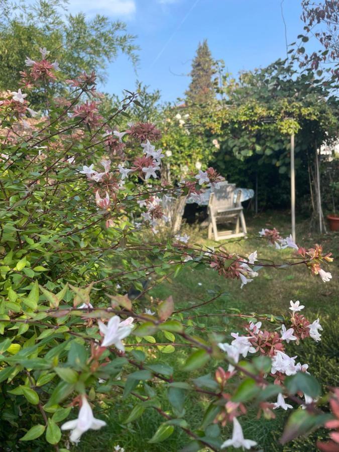 Gattico B&B Villa Giardini Susanna المظهر الخارجي الصورة
