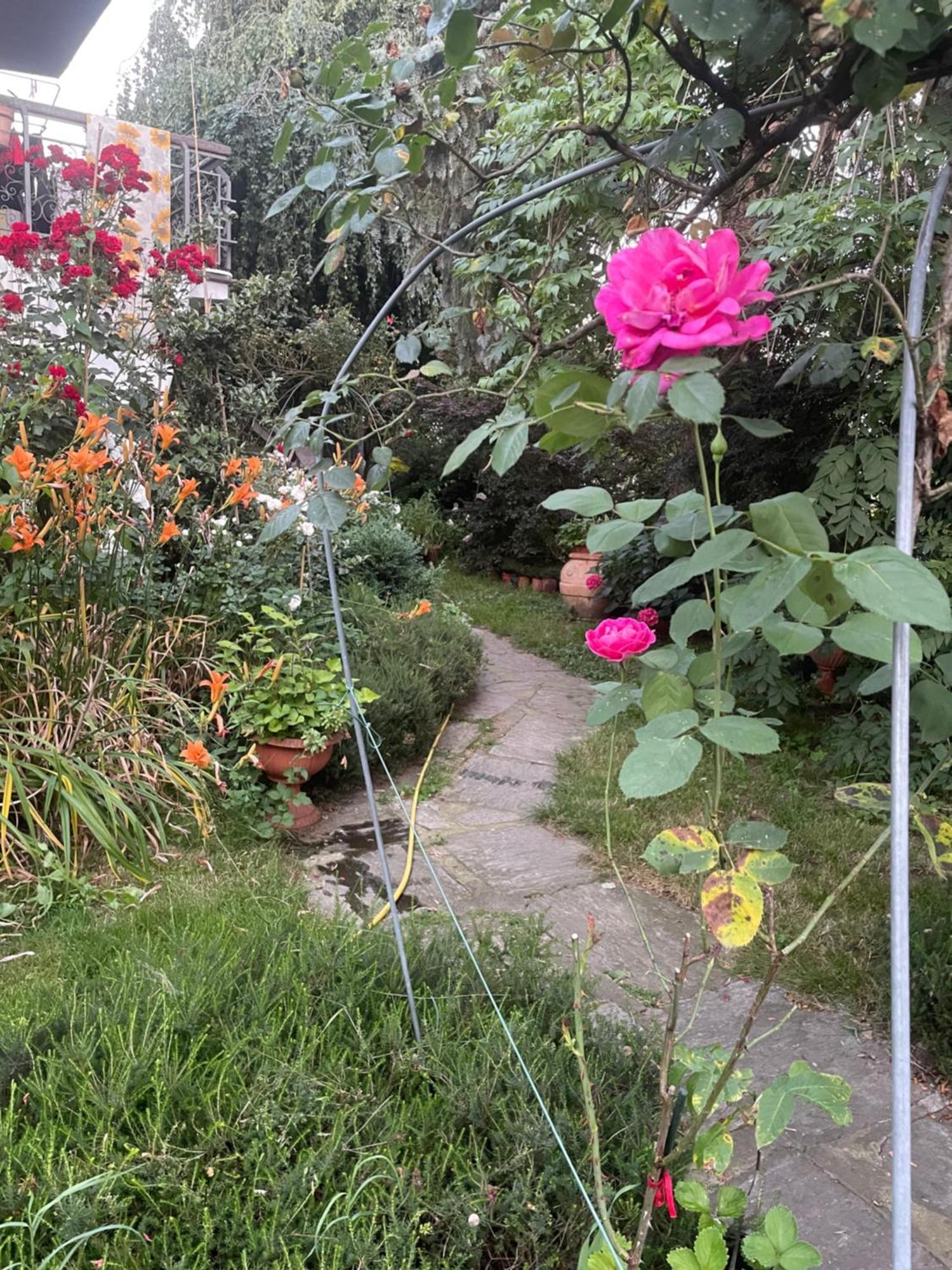 Gattico B&B Villa Giardini Susanna المظهر الخارجي الصورة